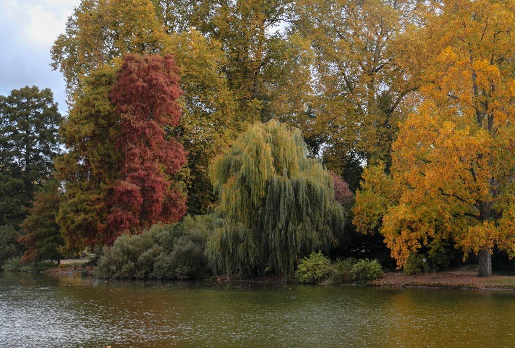 bois vincennes paris bois vincennes paris